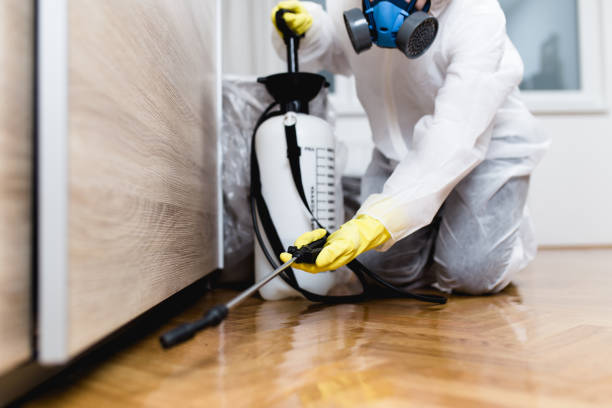 Best Best Pest Control Companies  in Kualapuu, HI