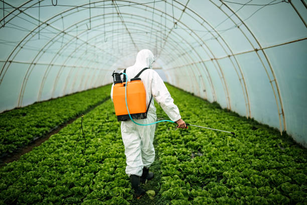 Professional Pest Control in Kualapuu, HI