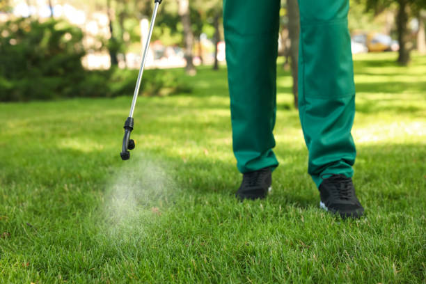 Best Commercial Pest Control Services  in Kualapuu, HI