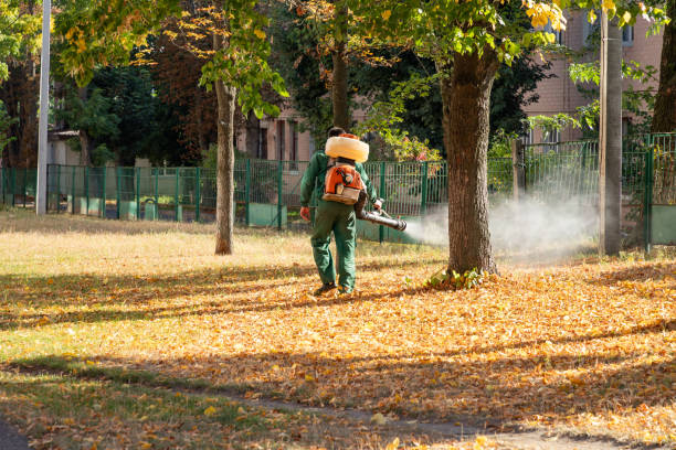Best Emergency Pest Control  in Kualapuu, HI